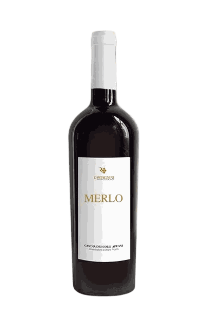 Merlo — Castagnini, Colli Apuani DOC