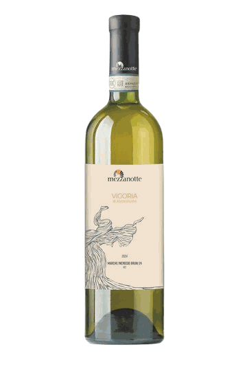 Bottle of Vigoria, Cantina Mezzanotte's Marche white made from Incrocio Bruni 54