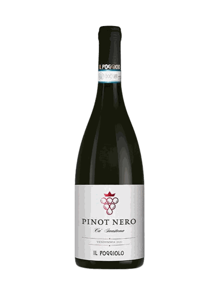 Bottle of Ca' Guastona Pinot Nero, a still red from Il Poggiolo